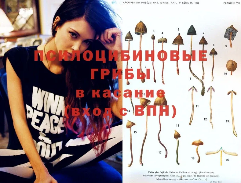 Псилоцибиновые грибы MAGIC MUSHROOMS  Вилюйск 